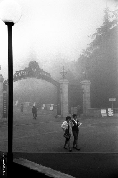 Fog_Sather_Gate
