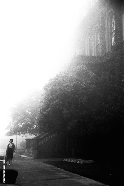 Fog_South_Hall
