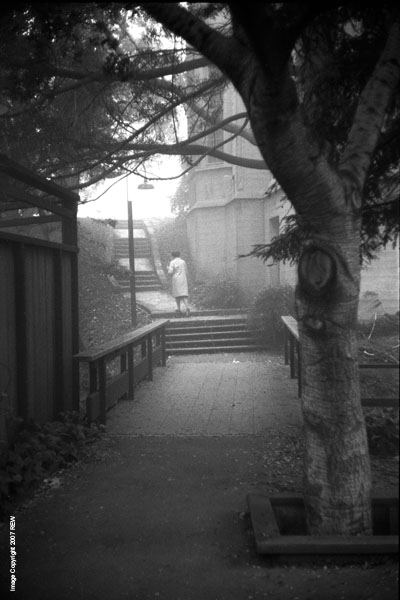 Fog_steps