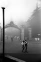 Fog_Sather_Gate