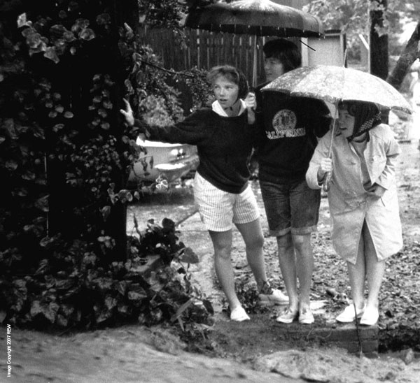 The_Phi_Mus_view_the_torrent