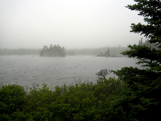 Morning fog, White Point, NS