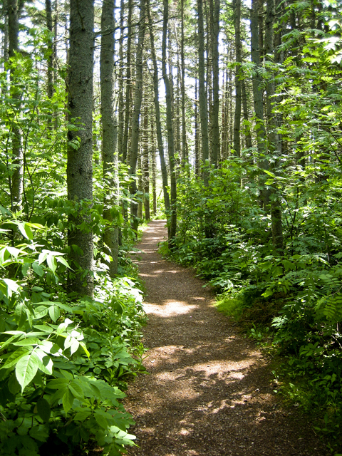 Path, Green Gables, PEI