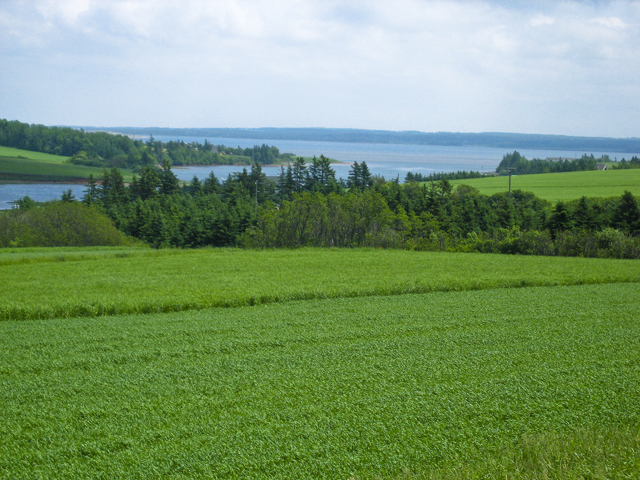 Green fields & inlet, PEI
