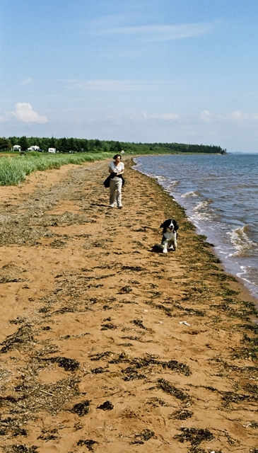 Natalie & Harry @ beach, PEI
