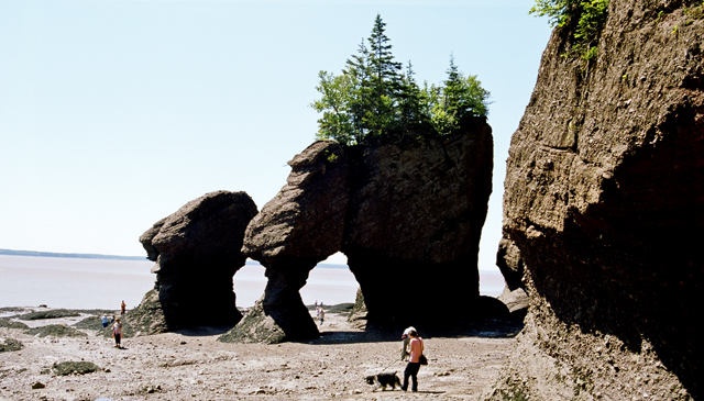 Natalie & Harry @ Hopewell Rocks, NB
