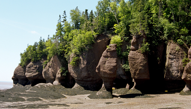 Hoodoos @ Hopewell Rocks, NB