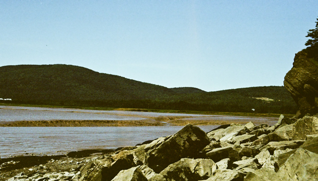 Tidal mud flat, Hopewell Rocks, NB