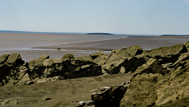 Tidal mud flat, Hopewell Rocks, NB