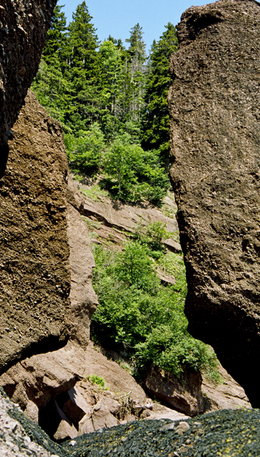 Hopewell Rocks, NB