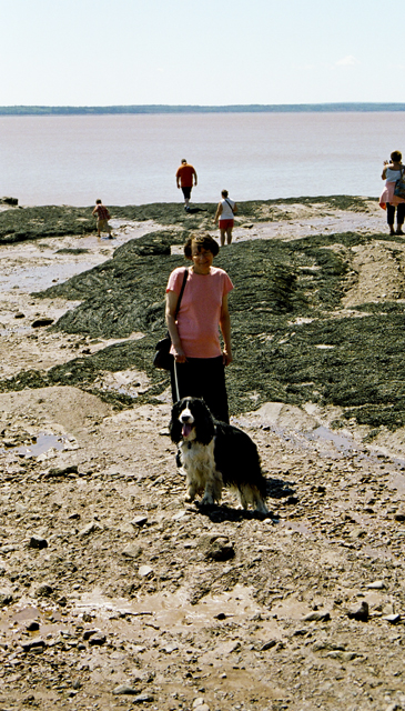 Natalie & Harry @ Hopewell Rocks, NB