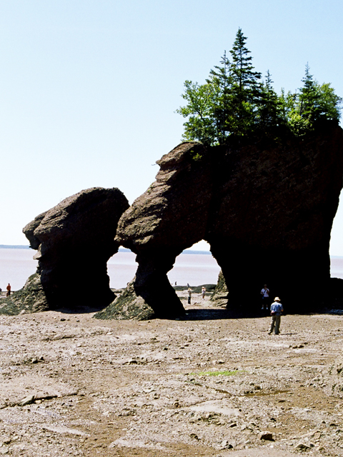 Hopewell Rocks, NB