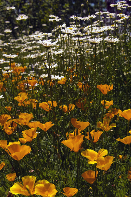 90_new_DSC_0235_crop