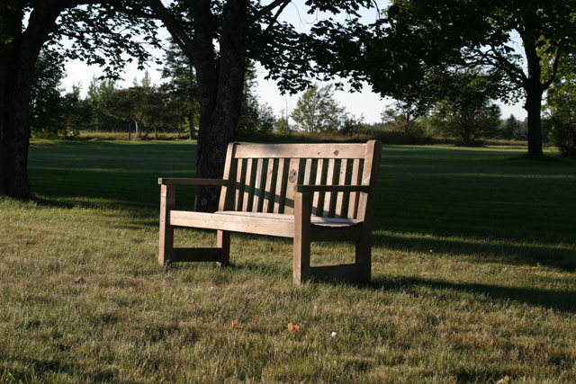 Bench