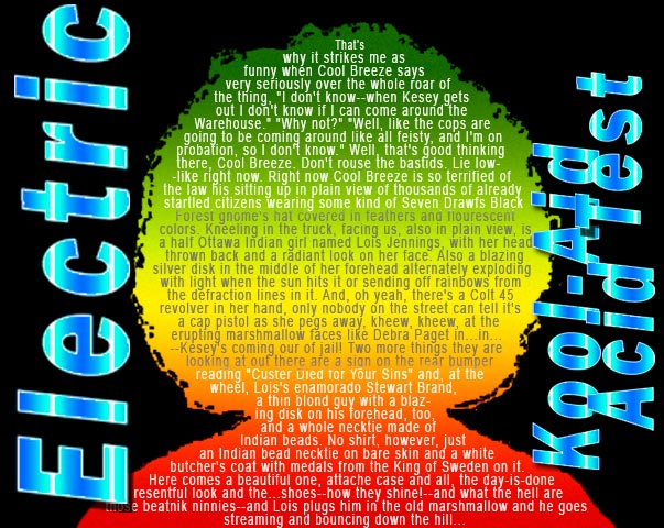 Electric Kool-Aid Acid Test