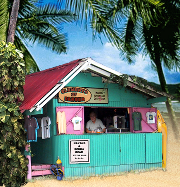 Elements of Danger shop