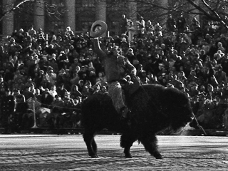 Buffalo Rider